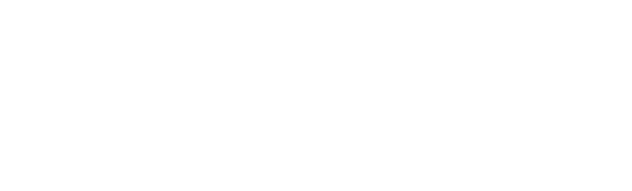 Biz Sites logo
